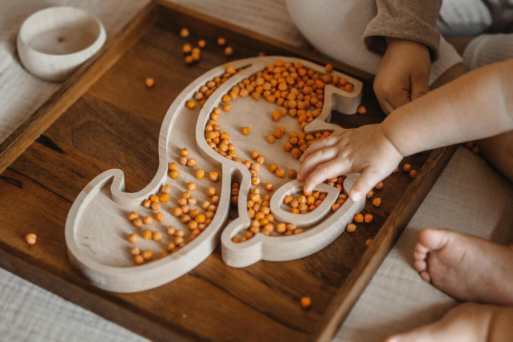 zabawka sensoryczna, pomoce sensoryczne dla dzieci z zabburzeniami integracji sensorycznej, pomoce do terapii SI, nadwrażliwość dotykowa, zaburzenia SI, zabawy dla dzieci z zaburzeniami SI, pomoce edukacyjne, pomoce do terapii ręki, sensoryczna wiewiórka , wysypywanka sensoryczna wiewórka, Hajo Kids, drewniana wiewiórka, panel sensoryczny wiewiórka