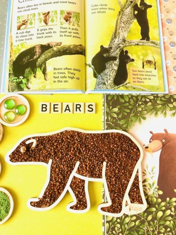 Panel tematyczny Niedzwiedź