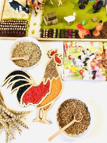 Panel sensoryczny Kogut