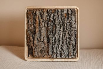 Panel sensoryczny kora