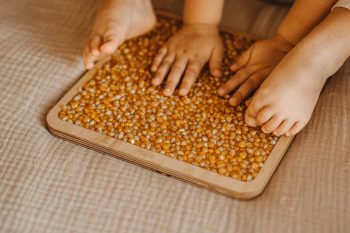 Panel sensoryczny kukurydza żółta