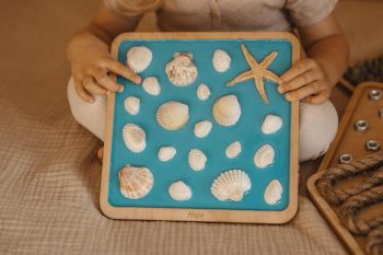 Panel sensoryczny muszleki