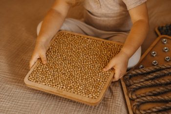 Panel sensoryczny soja