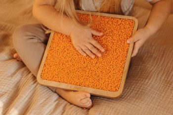 Panel sensoryczny soczewica