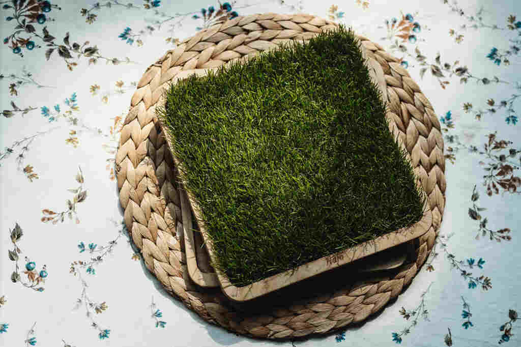 Panel sensoryczny trawa  do ścieżki sensorycznej