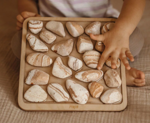 Ścieżki sensoryczne