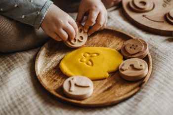 Drewniane stemple Cykl rozwoju motyla