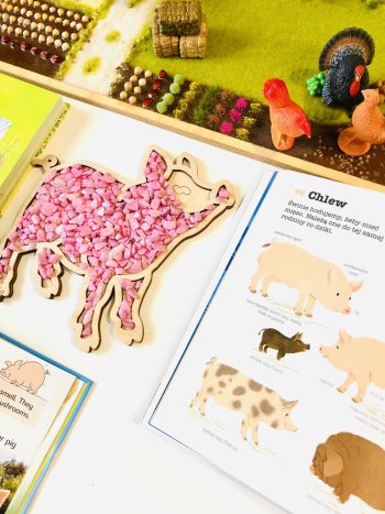 Panel sensoryczny Świnka