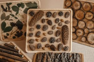 Leśna ścieżka sensoryczna