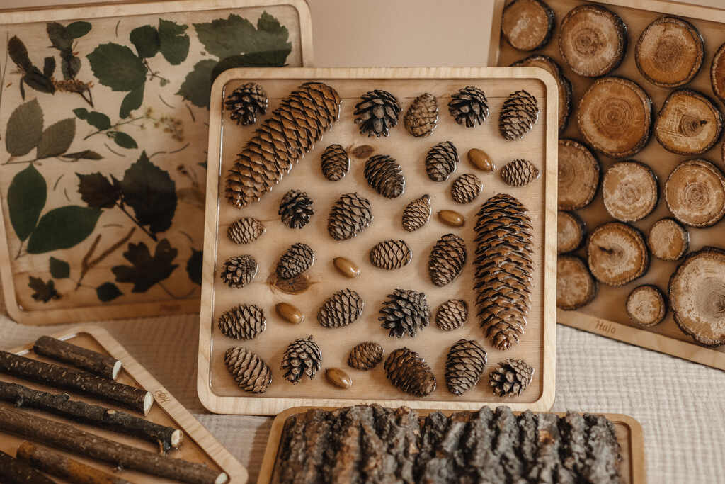 Leśna ścieżka sensoryczna